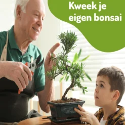 Bonsai Zaden 6 Soorten Incl. E-Book - Kweekset - Boompje In Pot - Kamerplanten – Kerstcadeau -Goedkope Groene Liefde Winkel 1200x1200 737