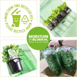 Merkloos 4 Lagen Vers Mos (Platmos) - Leuk Voor Decoratie - In Kist (40x30cm) 15 Merkloos 4 Lagen Vers Mos (Platmos) - Leuk Voor Decoratie - In Kist (40x30cm) -Goedkope Groene Liefde Winkel 1200x1200 768