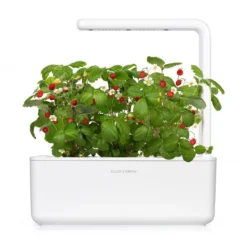 Click And Grow - Smart Garden 3 - Wit -Goedkope Groene Liefde Winkel 1200x1200 78