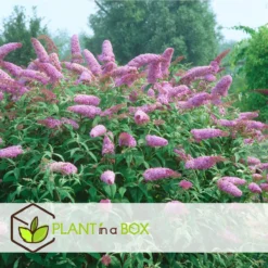 Goedkope Groene Liefde Winkel -Goedkope Groene Liefde Winkel 1200x1200 792