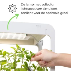 Smartwares ISL-60025 LED Groeilamp – Stijlvol Design – Dag/nacht Timerschema -Goedkope Groene Liefde Winkel 1200x1200 8