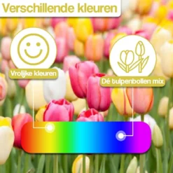 Merkloos Verschillende Kleuren Tulpenbollen Mix Met 30 Tulpen Bollen - Bloembollen Mix - Tuin - Tuindecoratie - Bloemen - Balkon -Goedkope Groene Liefde Winkel 1200x1200 820