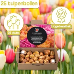 Merkloos Verschillende Kleuren Tulpenbollen Mix Met 30 Tulpen Bollen - Bloembollen Mix - Tuin - Tuindecoratie - Bloemen - Balkon -Goedkope Groene Liefde Winkel 1200x1200 821