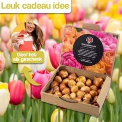 Merkloos Verschillende Kleuren Tulpenbollen Mix Met 30 Tulpen Bollen - Bloembollen Mix - Tuin - Tuindecoratie - Bloemen - Balkon -Goedkope Groene Liefde Winkel 1200x1200 824