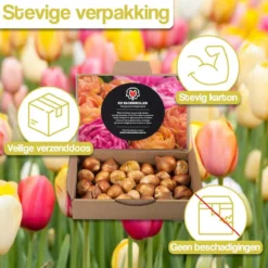 Merkloos Verschillende Kleuren Tulpenbollen Mix Met 30 Tulpen Bollen - Bloembollen Mix - Tuin - Tuindecoratie - Bloemen - Balkon -Goedkope Groene Liefde Winkel 1200x1200 826