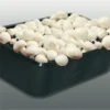 Kweekset Witte Champignons 3 L -Goedkope Groene Liefde Winkel 1200x1200 828
