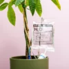 Woonaccessoires- Automatisch Watergeef Systeem | Plantenwaterer - Life Support Irrigatieapparaat | Druppelaar Kamerplanten - | Planten Watergever Met Druppelsysteem 350ml -Goedkope Groene Liefde Winkel 1200x1200 843
