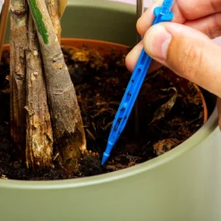 Woonaccessoires- Automatisch Watergeef Systeem | Plantenwaterer - Life Support Irrigatieapparaat | Druppelaar Kamerplanten - | Planten Watergever Met Druppelsysteem 350ml -Goedkope Groene Liefde Winkel 1200x1200 847