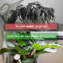 Waterdruppelaar Set Van 12 Stuks - Waterdruppelaar Voor Planten - Watergeefsysteem - Waterbol Irrigatiesysteem - Automatisch Druppelsysteem Voor Kamerplanten & Tuin - Watergever - Transparant - 15cm -Goedkope Groene Liefde Winkel 1200x1200 858