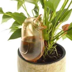 JS Drippy - Waterdruppelaars Set Van 2 Stuks - Druppelaar Vogel - Druppelsysteem Planten - Watergeefsysteem Kamerplanten - Waterbol - Roze -Goedkope Groene Liefde Winkel 1200x1200 861