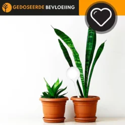 Waterdruppelaar Set Van 6 Stuks Voor Planten Transparant – 27 CM – Automatisch Watergeefsysteem Voor Kamerplanten – Planten Watergever Met Druppelsysteem – Waterbol -Goedkope Groene Liefde Winkel 1200x1200 868