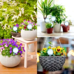 Druppelsysteem 12 Stuks Waterdruppelaar Voor Planten - Waterafgiftesysteem Voor 2 Weken - Beregening Voor Kamerplanten -Goedkope Groene Liefde Winkel 1200x1200 880