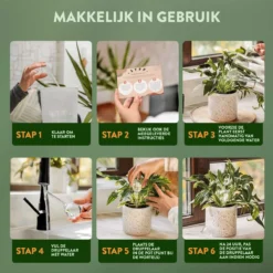 STFF & Co® Waterdruppelaar Voor Planten – Irrigatiesysteem Automatisch Watergeefsysteem – Waterbollen Voor Planten – Bewateringssysteem – 8 Stuks - 5cm -Goedkope Groene Liefde Winkel 1200x1200 909