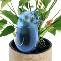 JS Drippy - Waterdruppelaars Set Van 2 Stuks - Druppelaar Vogel - Druppelsysteem Planten - Watergeefsysteem Kamerplanten - Waterbol - Blauw -Goedkope Groene Liefde Winkel 1200x1200 918