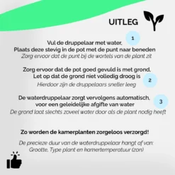 HGMD Waterdruppelaar Set Van 8 Stuks Voor Planten Transparant - Groen - Waterdruppelaar Voor Kamerplanten – Waterbol - Waterdruppelaar Voor Planten - Watergeefsysteem -Goedkope Groene Liefde Winkel 1200x1200 923