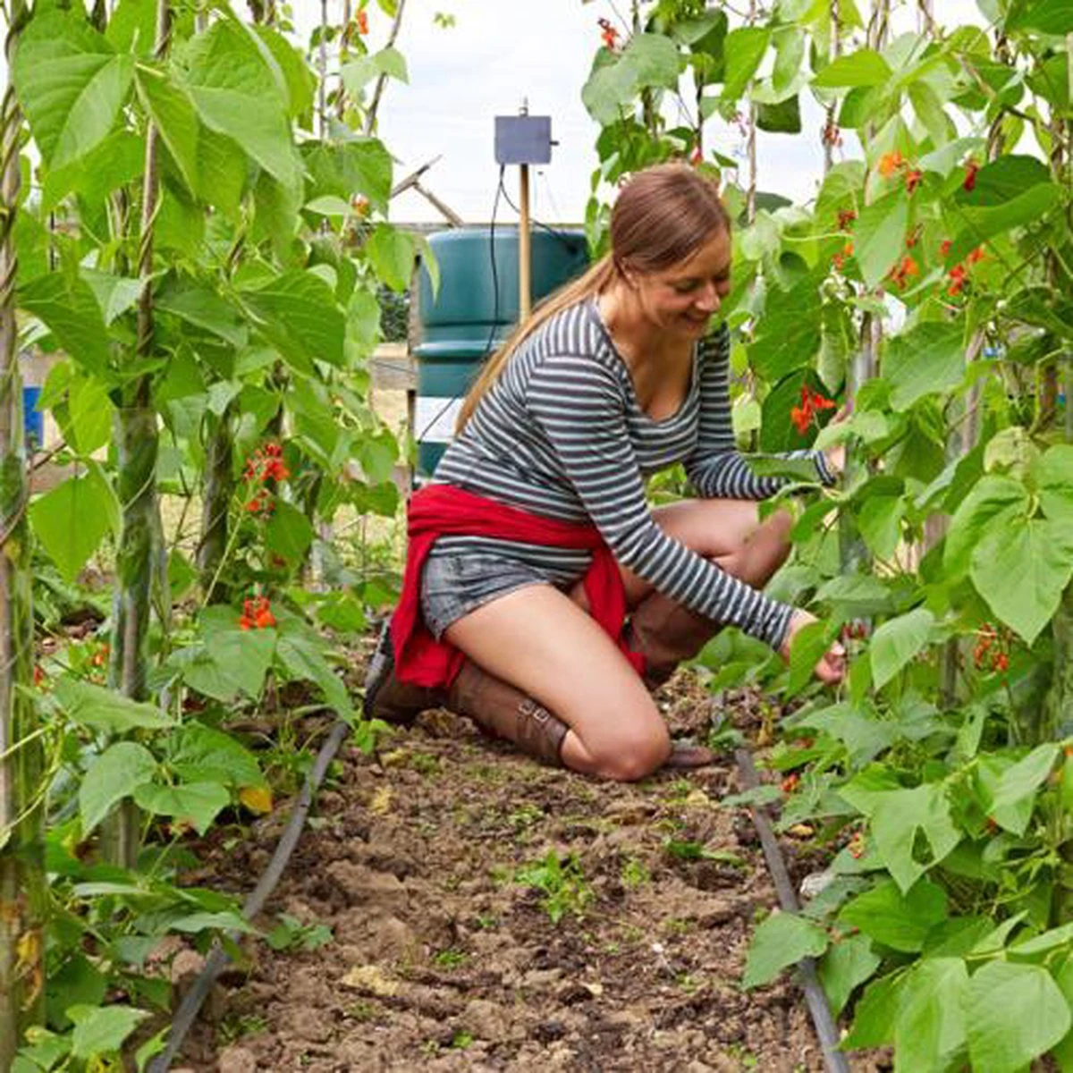 Irrigatia SOL-C24 Irrigatie Systeem Op Zonne-energie - Da's Slim Water Geven ! 6 Irrigatia SOL-C24 Irrigatie Systeem Op Zonne-energie - Da's Slim Water Geven ! - Afbeelding 4