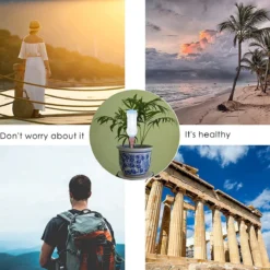 BOTC Waterdruppelaar Set Van 6 Stuks Voor Planten - Watergeefsysteem -Goedkope Groene Liefde Winkel 1200x1200 934