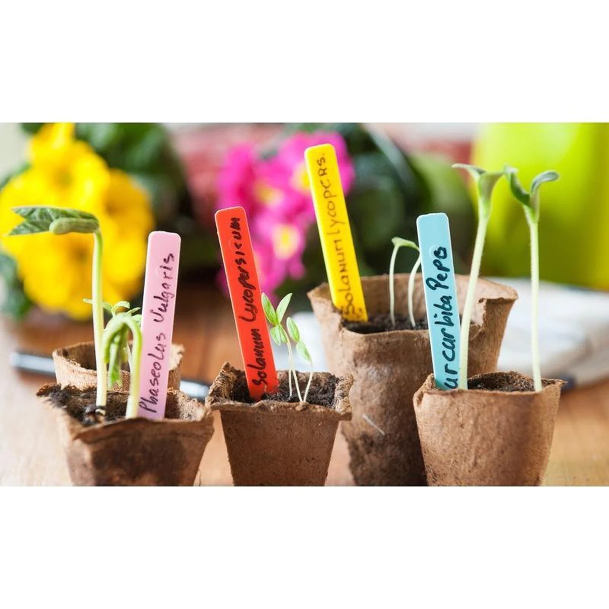 Nature 80x Moestuin/groentetuin/kruidentuin Steeketiketten 10 Cm - Moestuin Labels 80 Stuks - Tuin Artikelen 4 Nature 80x Moestuin/groentetuin/kruidentuin Steeketiketten 10 Cm - Moestuin Labels 80 Stuks - Tuin Artikelen - Afbeelding 2