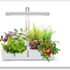 LEDVANCE 4058075576131 8 LEDVANCE 4058075576131 -Goedkope Groene Liefde Winkel 1200x362