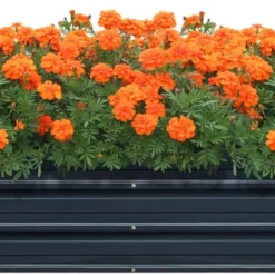 Moestuinbak Nijmegen Staal 240x47x40 Cm Antracietgrijs -Goedkope Groene Liefde Winkel 1200x374