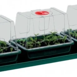Garland - 3-voudige Propagator Vensterbank Set - Afmeting 69x17x19cm