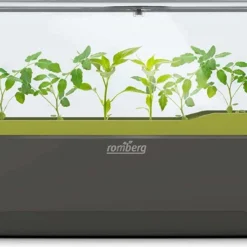 Kweekbak Propagator - Groeikas Vensterbank - Kweekkas - Kweekset - Zaaibak Binnen -Goedkope Groene Liefde Winkel 1200x586