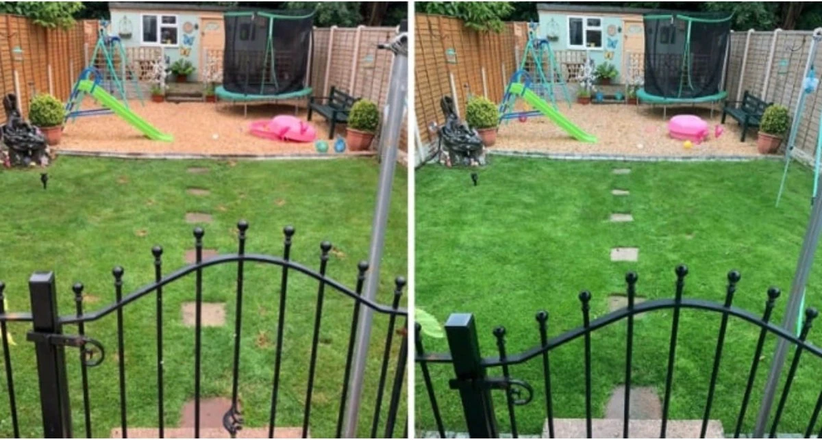 Speel En Sport Graszaad Voor 100m² Gras | Bestendig Tegen Intensief Gebruik | Gazon Voor Sporten & Spelen 8 Speel En Sport Graszaad Voor 100m² Gras | Bestendig Tegen Intensief Gebruik | Gazon Voor Sporten & Spelen - Afbeelding 6