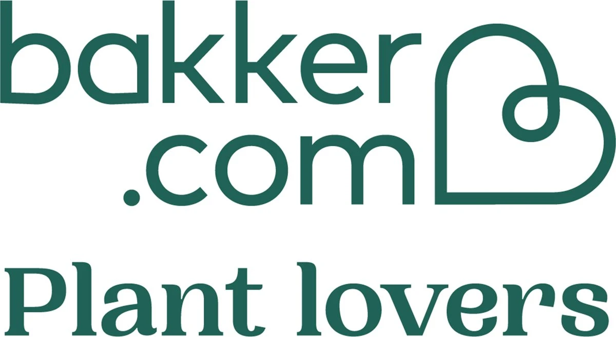 Pokon Hydrokorrels - 10l - Kleikorrels - Goed Voor Drainage 4 Pokon Hydrokorrels - 10l - Kleikorrels - Goed Voor Drainage - Afbeelding 2