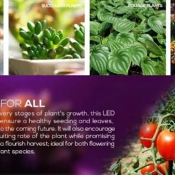 E27 LED Groeilamp Voor Kwekers - 5w Groeilamp - Kweeklamp - 5 Watt - E27 Fitting - Grow Light - Kweektunnel - Bloeilamp - UV Lamp - Groeilicht - Ontkiemen - Planten Groeien -Goedkope Groene Liefde Winkel 1200x660