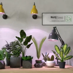 HortiPower Bloomer 2 Kweeklampen - 2 Stuks - 400-780nm - 9W - E27 - LED - Kweeklamp Led Full Spectrum - Groeilamp Voor Planten -Goedkope Groene Liefde Winkel 1200x674