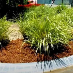 CocoSchors - Beter Alternatief Voor Boomschors - Bodembedekking - 4,5 Kg - 2m² Bedekken -Goedkope Groene Liefde Winkel 1200x713