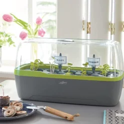 Kweekbak Propagator - Groeikas Vensterbank - Kweekkas - Kweekset - Zaaibak Binnen -Goedkope Groene Liefde Winkel 1200x750 1