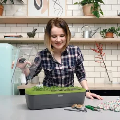 Kweekbak Propagator - Groeikas Vensterbank - Kweekkas - Kweekset - Zaaibak Binnen -Goedkope Groene Liefde Winkel 1200x750