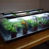 Propagator Geopod (Extra Large) Verwarmde Kweekbak Verwarmd Met Geïntegreerde Groeilampen En Thermostaat -Goedkope Groene Liefde Winkel 1200x765