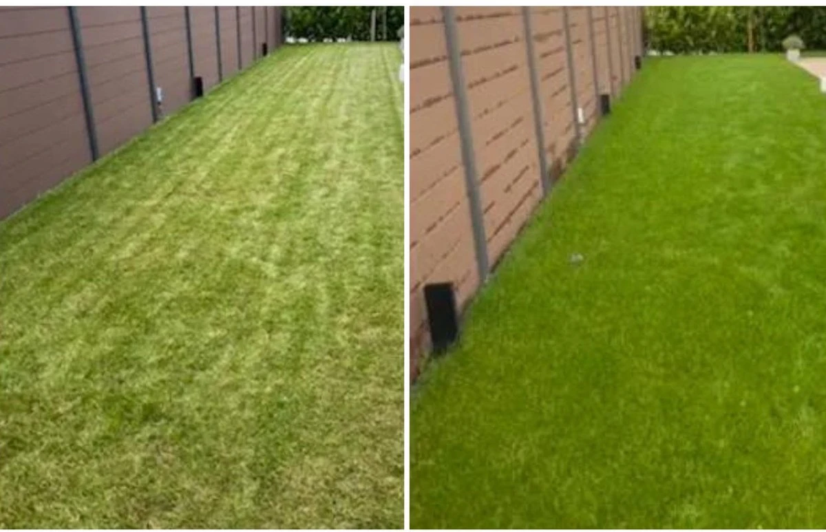 Speel En Sport Graszaad Voor 100m² Gras | Bestendig Tegen Intensief Gebruik | Gazon Voor Sporten & Spelen 9 Speel En Sport Graszaad Voor 100m² Gras | Bestendig Tegen Intensief Gebruik | Gazon Voor Sporten & Spelen - Afbeelding 7