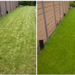 Speel En Sport Graszaad Voor 50m² Gras | Bestendig Tegen Intensief Gebruik | Gazon Voor Sporten & Spelen -Goedkope Groene Liefde Winkel 1200x773