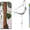 Planten Watergever Glazen Vogel (set Van 2) -Goedkope Groene Liefde Winkel 1200x776 1