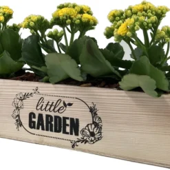 GARDEN SPIRIT Kruidenbak Op Pootjes Bloembak 34 X 9 X 10 Cm - Kweekbak -Goedkope Groene Liefde Winkel 1200x776