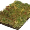 Covergreen Kant-en-klare Sedum Plantenmat -Goedkope Groene Liefde Winkel 1200x781 1