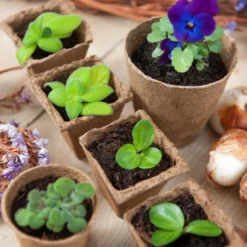 Nature 15x Biologisch Afbreekbare Stekpotjes / Kweekpot - 8.5 X 8 X 8 Cm - Moestuin - Turfpotjes -Goedkope Groene Liefde Winkel 1200x798 1