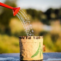 Biologische Kweekset Theekruiden Munt -Goedkope Groene Liefde Winkel 1200x799
