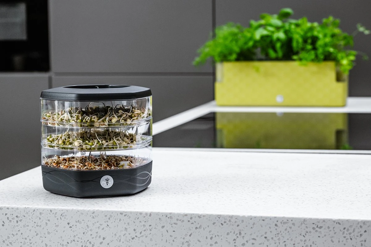 Mungo Antraciet - Kiemtoren Voor Zaden En Granen - Kiempot - Kiemzaden - Kiemschaaltje 4 Mungo Antraciet - Kiemtoren Voor Zaden En Granen - Kiempot - Kiemzaden - Kiemschaaltje - Afbeelding 2