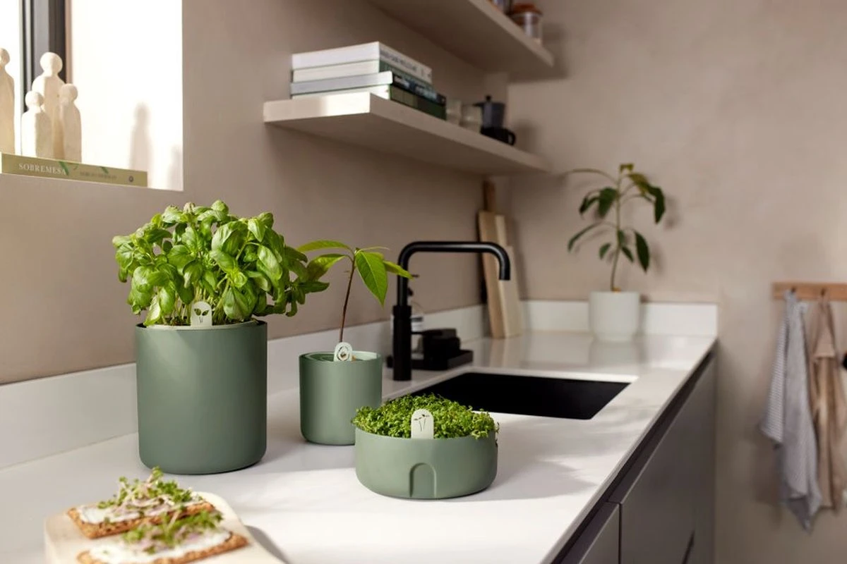 Elho Magic Microgreens 17 - Bloempot Voor Kiemgroenten - Ø 16.8 X H 7.1 Cm - Groen/Blad Groen 8 Elho Magic Microgreens 17 - Bloempot Voor Kiemgroenten - Ø 16.8 X H 7.1 Cm - Groen/Blad Groen - Afbeelding 6