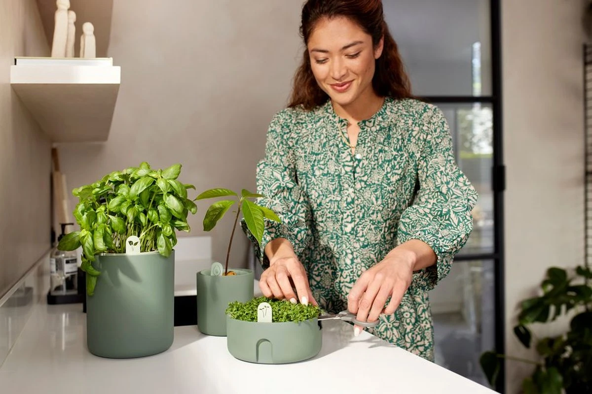 Elho Magic Microgreens 17 - Bloempot Voor Kiemgroenten - Ø 16.8 X H 7.1 Cm - Groen/Blad Groen 10 Elho Magic Microgreens 17 - Bloempot Voor Kiemgroenten - Ø 16.8 X H 7.1 Cm - Groen/Blad Groen - Afbeelding 8