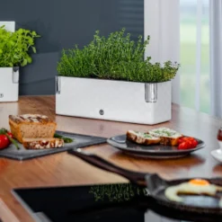 Cobble Trio - Design Kruidenpot Met Bewateringssysteem - Kristalwit - Kruidenbak - Kweekbak - Plantenbak -Goedkope Groene Liefde Winkel 1200x800 26