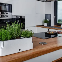 Cobble Trio - Design Kruidenpot Met Bewateringssysteem - Kristalwit - Kruidenbak - Kweekbak - Plantenbak -Goedkope Groene Liefde Winkel 1200x800 27