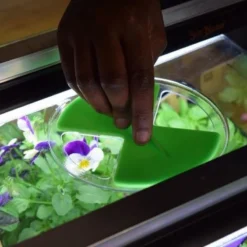 Propagator Geopod (Extra Large) Verwarmde Kweekbak Verwarmd Met Geïntegreerde Groeilampen En Thermostaat -Goedkope Groene Liefde Winkel 1200x800 34