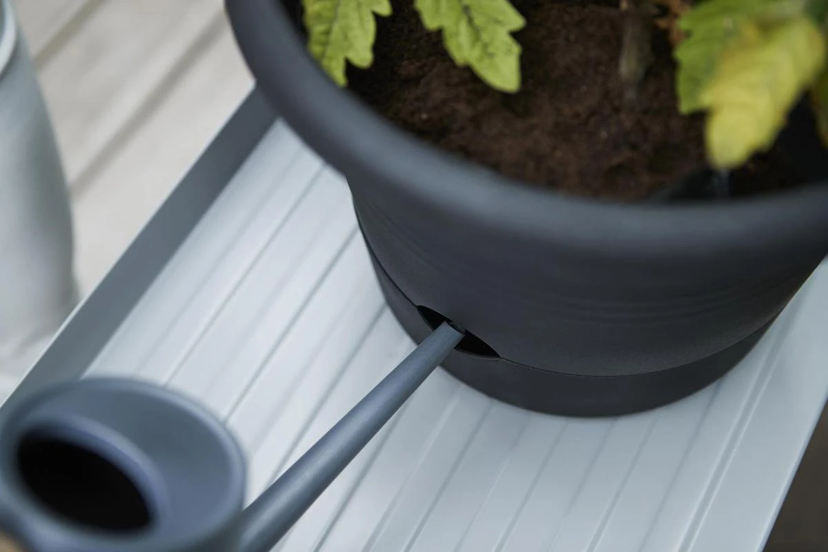 Elho Green Basics Tomaten Pot 33 - Bloempot Voor Buitenkweken En Oogsten - Ø 33.5 X H 26.0 Cm - Zwart/Living Black 6 Elho Green Basics Tomaten Pot 33 - Bloempot Voor Buitenkweken En Oogsten - Ø 33.5 X H 26.0 Cm - Zwart/Living Black - Afbeelding 4