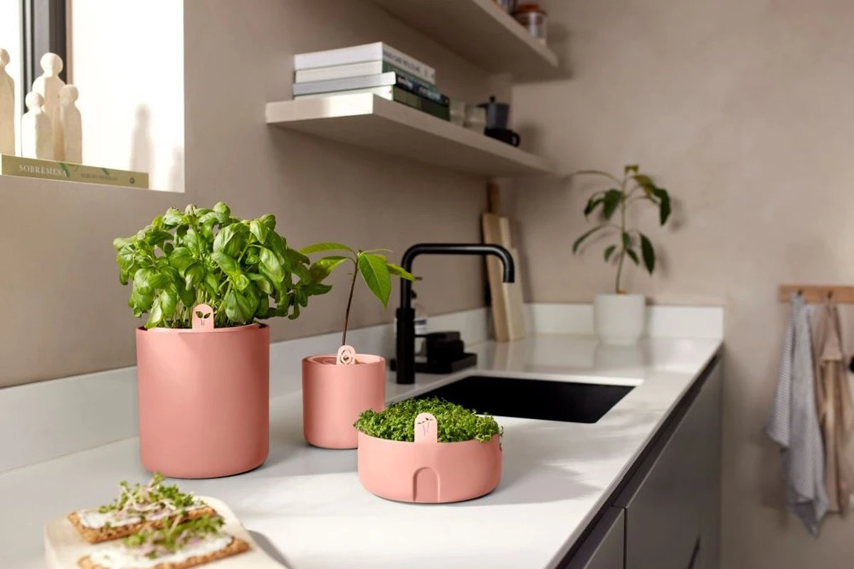 Elho Amazing Avocado Pot 12 - Kweekpot Voor Binnen - Moestuinbak Van 100% Gerecycled Plastic - Ø 12.0 X H 12.1 Cm - Bruin/Toffee Terra 7 Elho Amazing Avocado Pot 12 - Kweekpot Voor Binnen - Moestuinbak Van 100% Gerecycled Plastic - Ø 12.0 X H 12.1 Cm - Bruin/Toffee Terra - Afbeelding 5