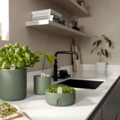 Elho Amazing Avocado Pot 12 - Kweekpot Voor Binnen - Moestuinbak Van 100% Gerecycled Plastic - Ø 12.0 X H 12.1 Cm - Groen/Blad Groen -Goedkope Groene Liefde Winkel 1200x800 43